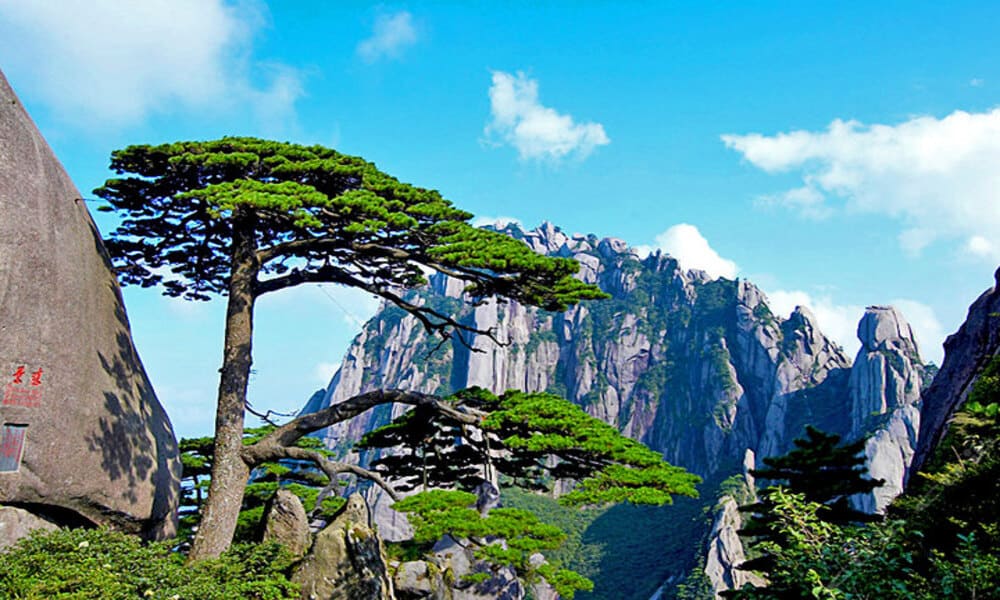 Mount Huangshan Keindahan Alam dan Budaya di Tiongkok