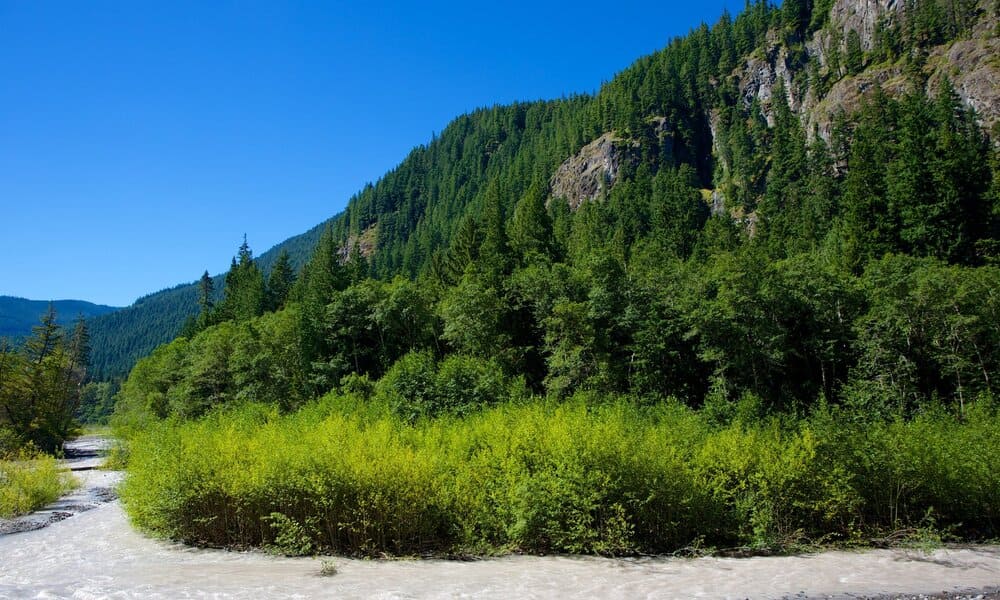 Mount Rainier Keindahan Alam yang Menakjubkan di Washington