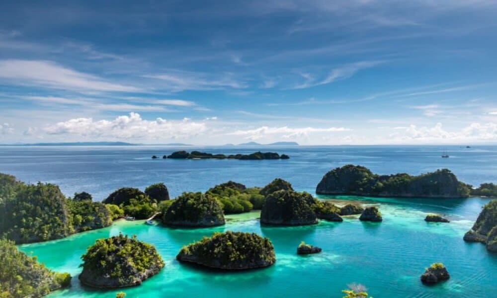 Raja Ampat Surga Penyelam dengan Keanekaragaman Hayati yang Luar Biasa