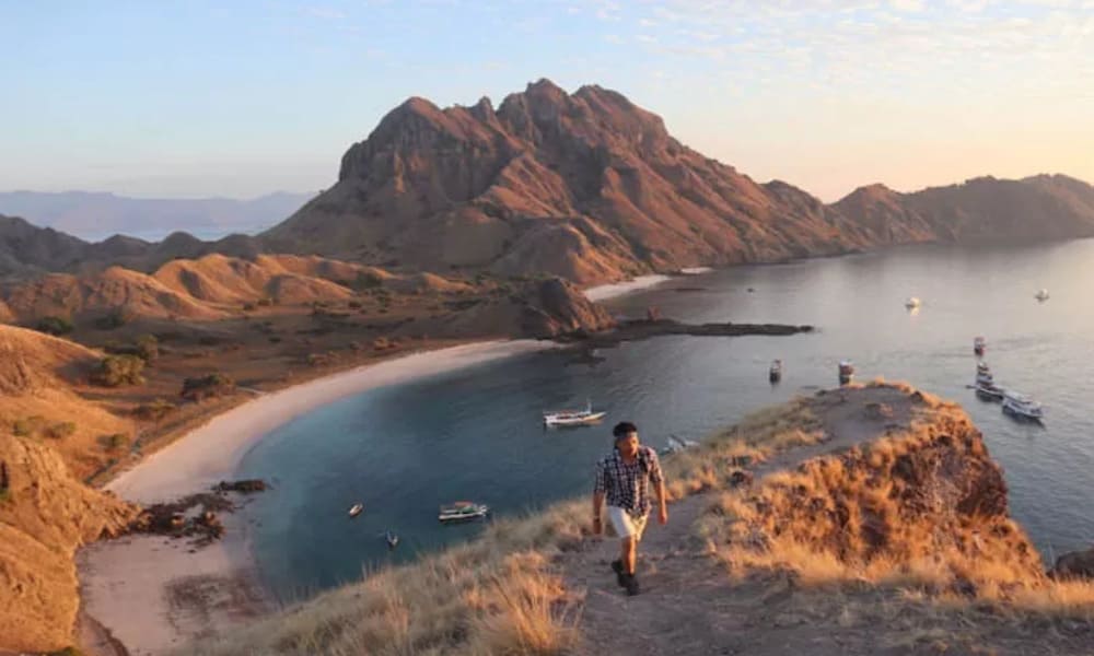 Taman Nasional Komodo Keajaiban Alam Indonesia